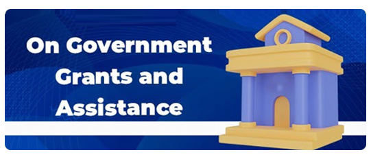 Government Grants